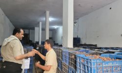 وحدة الزراعة التعاقدية تواصل تنفيذ برنامج إدارة فاتورة الاستيراد لمحصول التمور في التحيتا